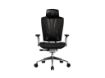 imagem de Cadeira Gamer Cooler Master Ergonomica Ergo L - Cmi-Gcel-2019